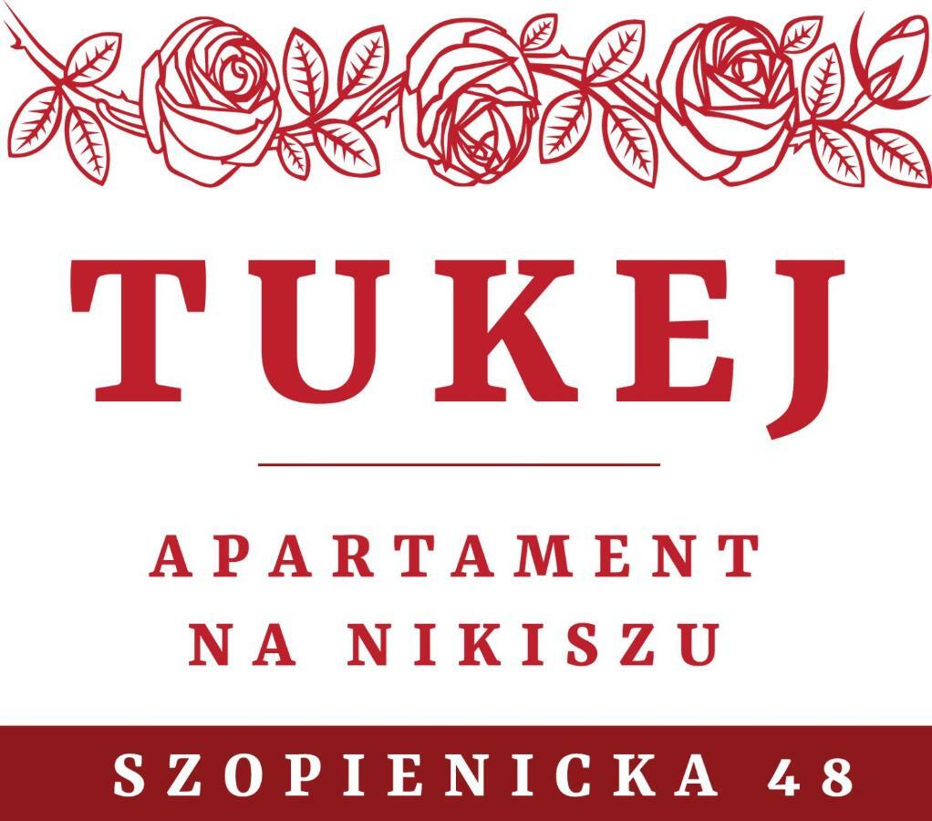 Tukej Apartament Na Nikiszu Kattowitz Exterior foto